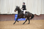 SBM_000338