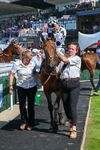 300526-Race 5-Glenfinnan-6504