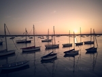 DJI_0028