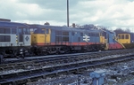 20th April 1991
