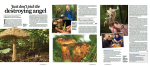Mushroom School