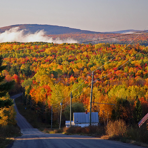 Autumn foliage looking along the Forest City Road and towards the state of Maine.