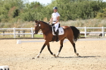 SBM_003271