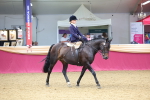 SBM_23582