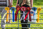 Loweswater Show-33
