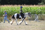 WJ6_8956