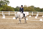 SBM_000984