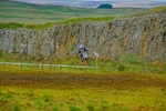 DSCF9341
