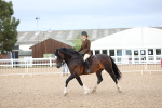 SBM_00284