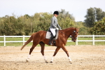 SBM_001751