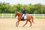 SBM_005223