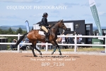 BPP_7134