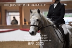 BPP_2373