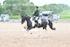 BPP_0520