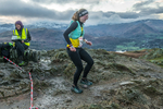 Loughrigg-539