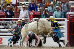_DSC2244