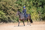 WJ6_6887
