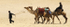 Egyptian Sahara