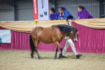 SBM_20755