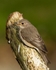 20110613-IMG_5753
