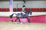 SBM_23281