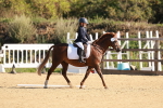 SBM_009187