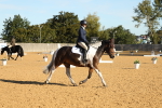 SBM_16387