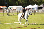 SBM_12619