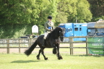 SBM_09617