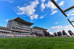220826-Race 5-Sondad-6176