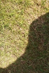 SBM_05477