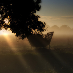 Misty Morning