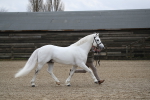 SBM_004028