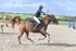 BPP_8641