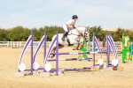 SBM_003646