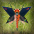 B19 Wherry Bug  (8x8)