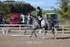 BPP_8707