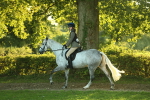 SBM_56477