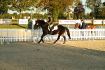 SBM_53962