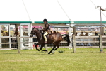 SBM_15799