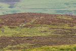 Ennerdale -6