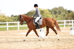 SBM_001746