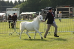 SBM_00667