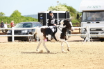 SBM_007997