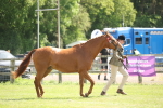 SBM_09071