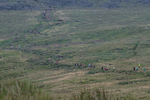 Ingleborough-532