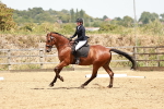 SBM_003606