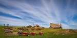 Palouse Farm