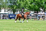 SBM_15406