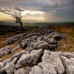 Twisleton Scar II